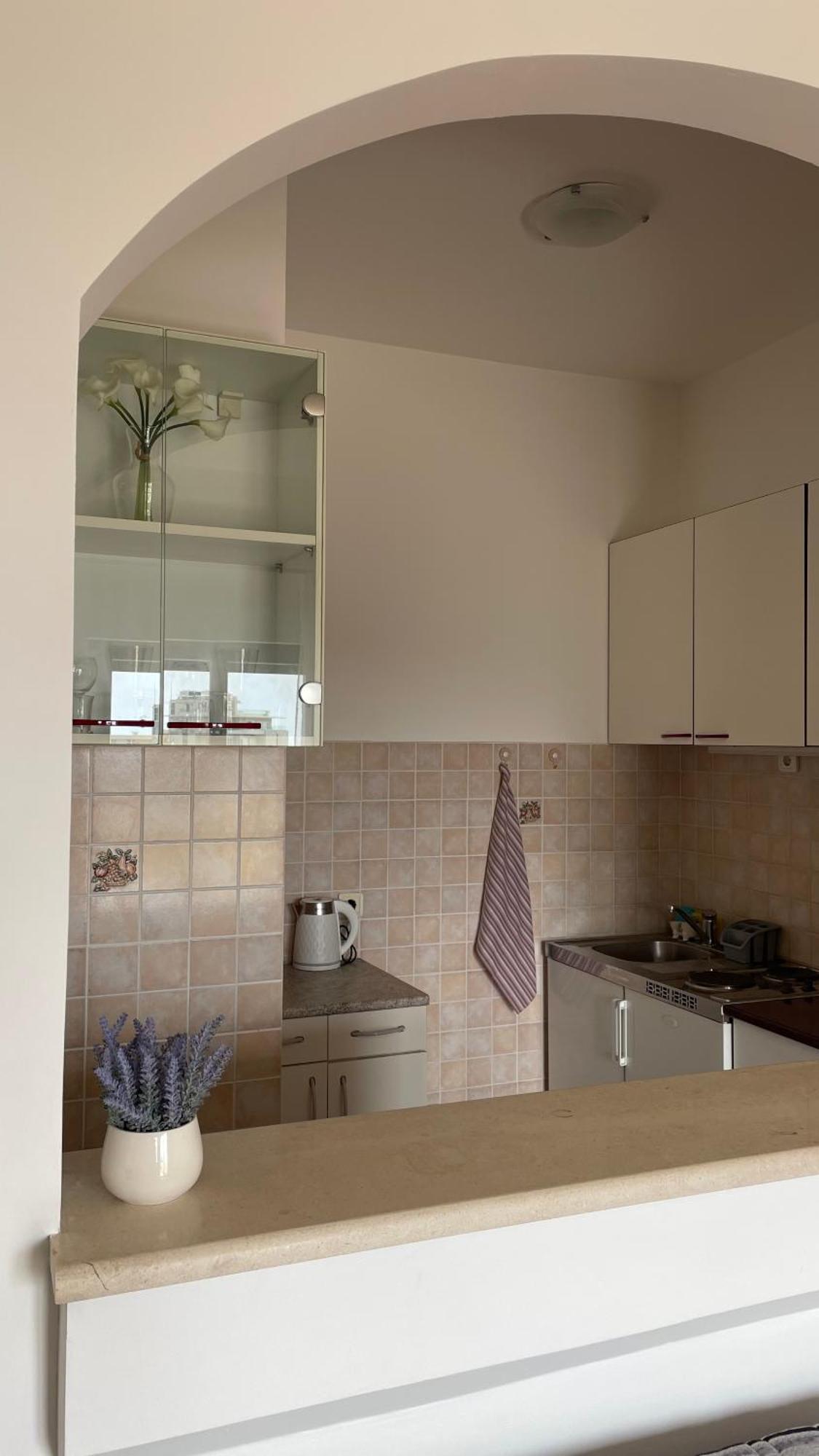 Apartment Tatjana Petrovac Luaran gambar
